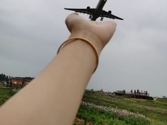 -空港花田景区