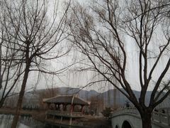 -函谷关历史文化旅游区