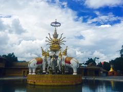 -瑞丽独树成林风景区