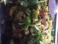 重庆烤鱼-重庆火锅水库鱼庄(南油店)