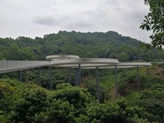 -光明小镇欢乐田园