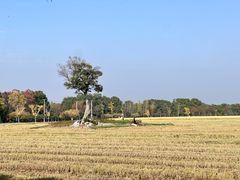 -嘉北郊野公园