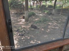 -上膳源有机农场