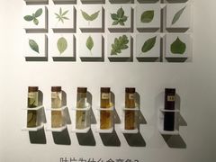 -中国湿地博物馆