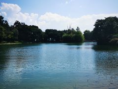 -蝴蝶泉公园