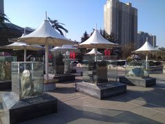 景点-陕西自然博物馆