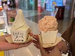 -野人先生现做冰淇淋(北京王府井东方新天地店)