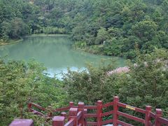 -广州白江湖森林公园