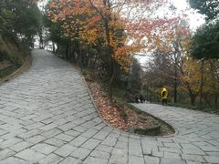-峙山公园