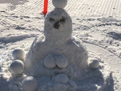 -中旅松花湖滑雪场