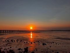 -宝安西湾红树林湿地公园