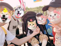 -武汉紫薇都市田园