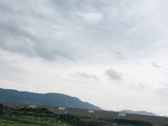-光明小镇欢乐田园
