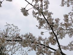 -堤角公园