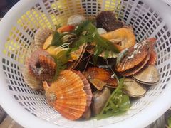 -必点海鲜·鲅鱼水饺(鞍山西道店)