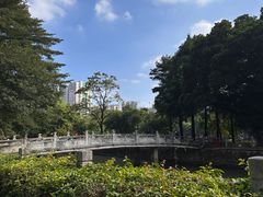 -晓港公园