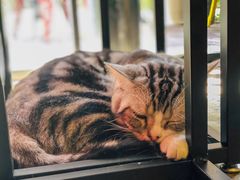 -咖法森林·咖啡  酒吧(天河店)