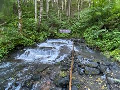 -峡谷浮石林景区