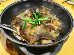 大盆鱼-洞密园美食城·二十二年老店(富华路店)