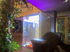 -明日世界密室轰趴·剧本桌游·箭馆团建(国贸店)