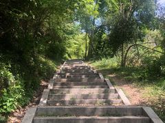-青龙山国家森林公园