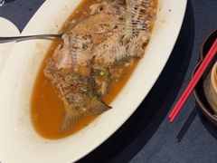 -金狮麟·新豫菜(金码大厦店)