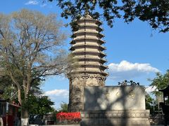 -高尔山公园