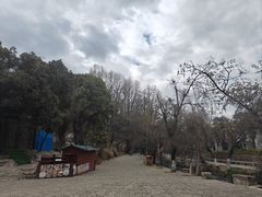 -黑龙潭公园