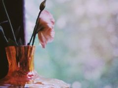 -花满楼(启秀路店)