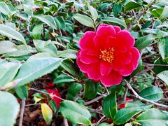 -白塘生态植物园