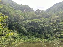 -青城山