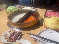 -东道煮牛肉火锅(东盛大街店)