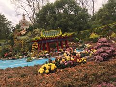 -共青国家森林公园-售票处