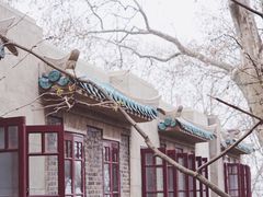 -武汉大学-樱园