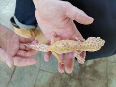 -秦皇岛新澳海底世界