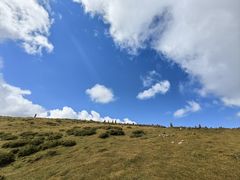 -芦芽山旅游度假区