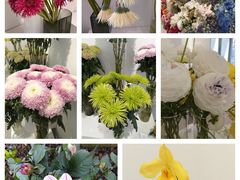 -上海植物园-4号门售票处