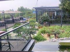 -蘇河湾·新鲁菜·泰山宴(泰山店)