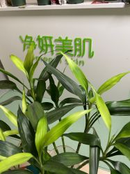 -净妍美肌专业净毛嫩肤连锁机构
