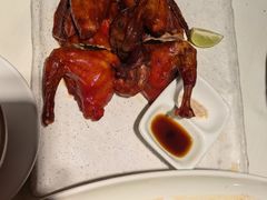 -侨美·唐荔园·40年地道粤菜