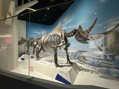 -国家自然博物馆