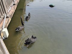 -无锡动物园·太湖欢乐园