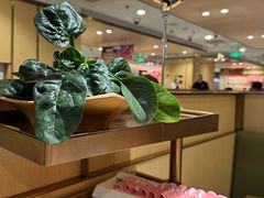 -海底捞火锅(西直门凯德MALL店)