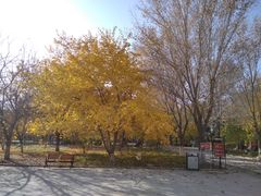 -哈密回王府景区