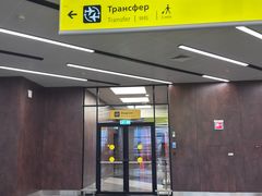 -谢列梅捷沃国际机场