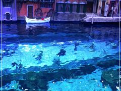 -华夏文旅海洋公园