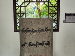 -上海醉白池公园