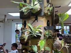 -本無咖啡·BeanWood Coffee