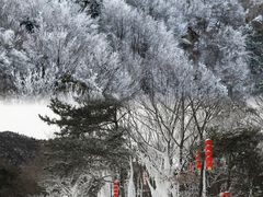 -沂蒙山旅游区云蒙景区(蒙山国家森林公园)