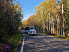 -五营红松林海景区